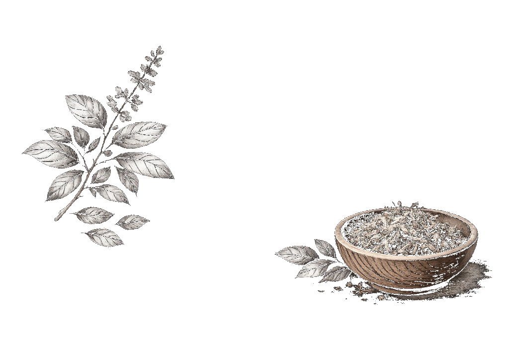 Ayurvedic botanical sprig and herbal bowl illustration